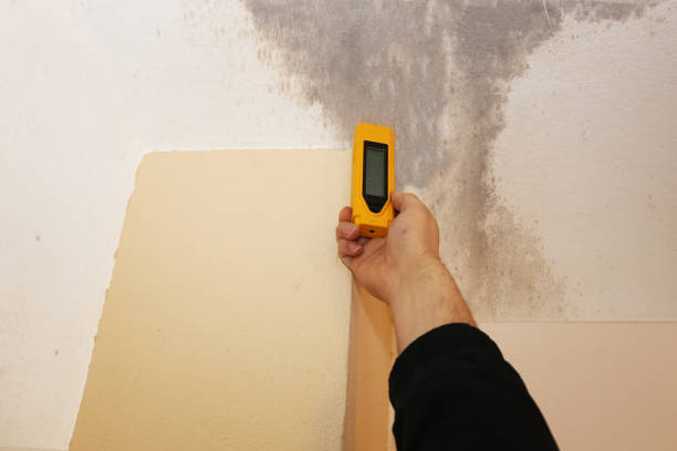 Best Indoor Air Quality Assessment  in Wimauma, FL