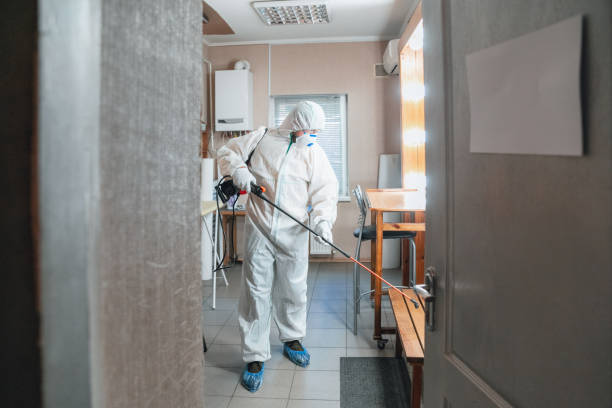 Best Crawl Space Mold Remediation  in Wimauma, FL