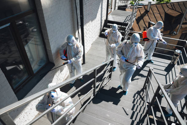 Best Asbestos and Lead Testing During Mold Inspection  in Wimauma, FL
