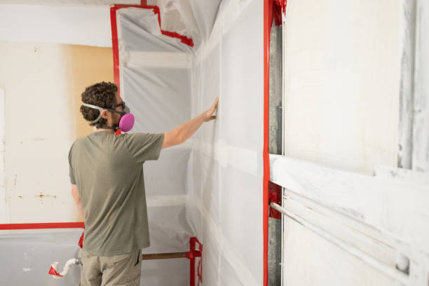 Mold Remediation for Vacation Homes in Wimauma, FL
