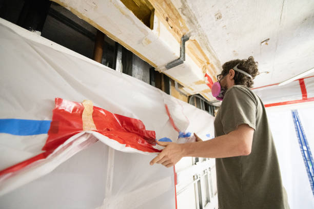 Best Mold Prevention Services  in Wimauma, FL