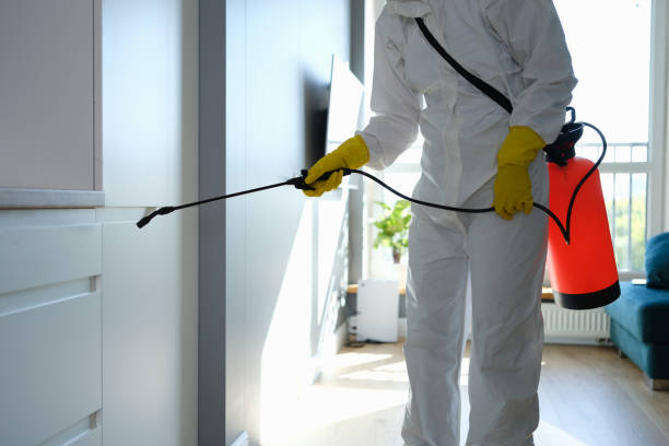 Best Biohazard Mold Removal  in Wimauma, FL